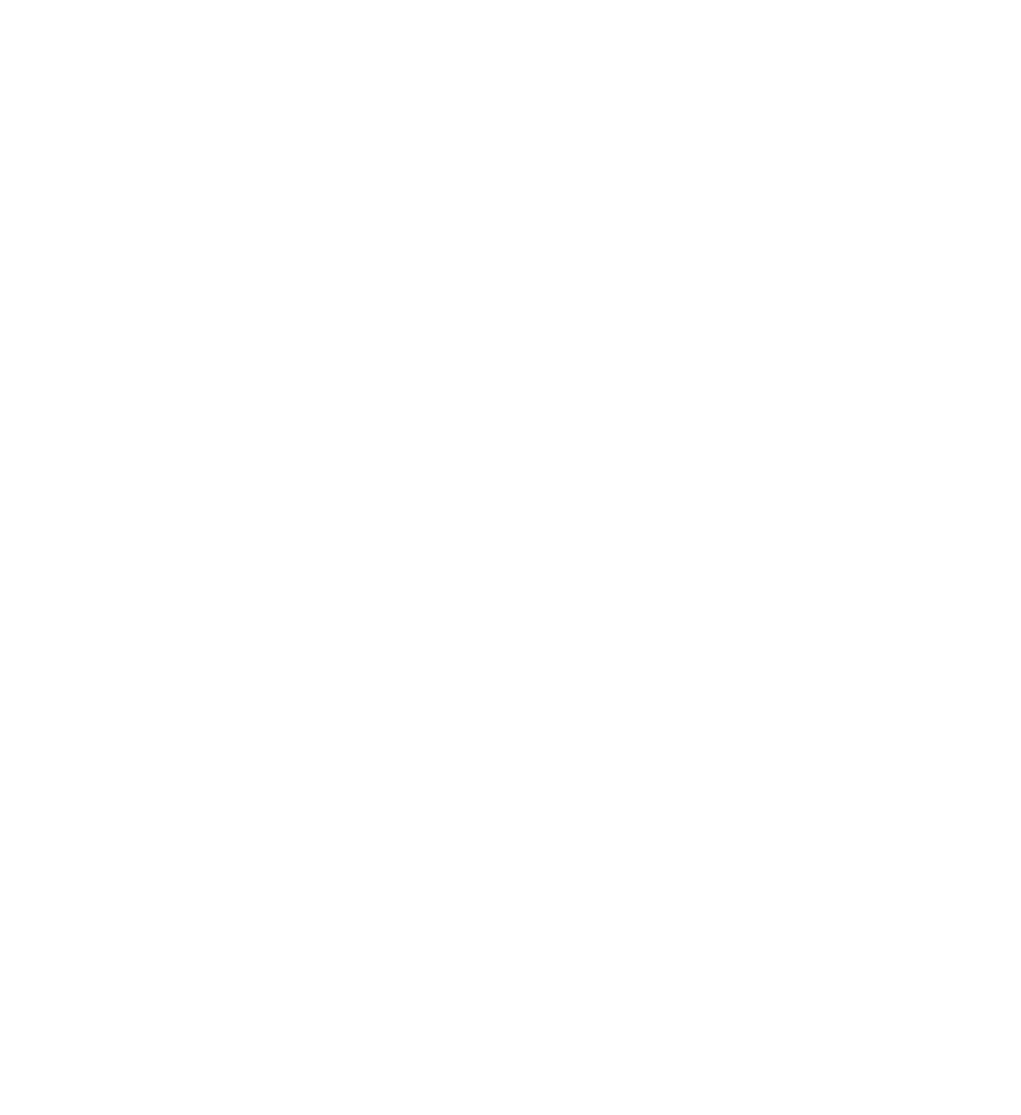 AFG logo - lion figure